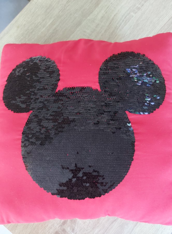 Illustration de 2 chouettes coussins DISNEY en très bon état 😀 