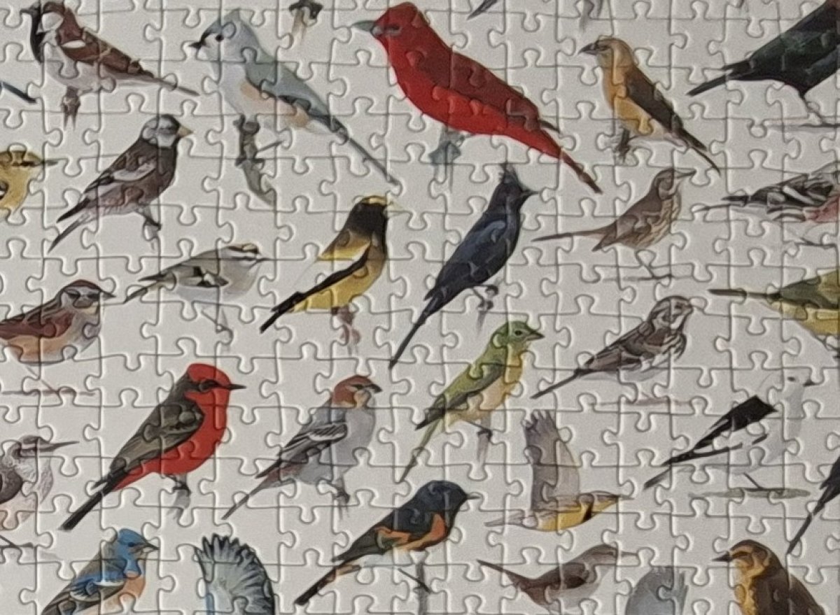Illustration de Vendu: Magnifique puzzle d'oiseaux de 2000 pièces, en parfait état 