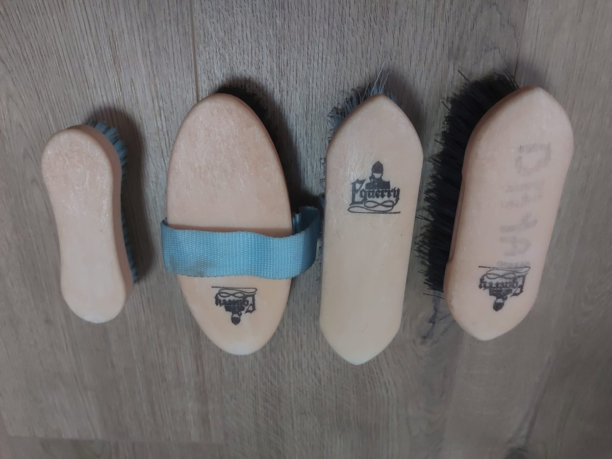 Illustration de Boîte de pansage avec matériel 