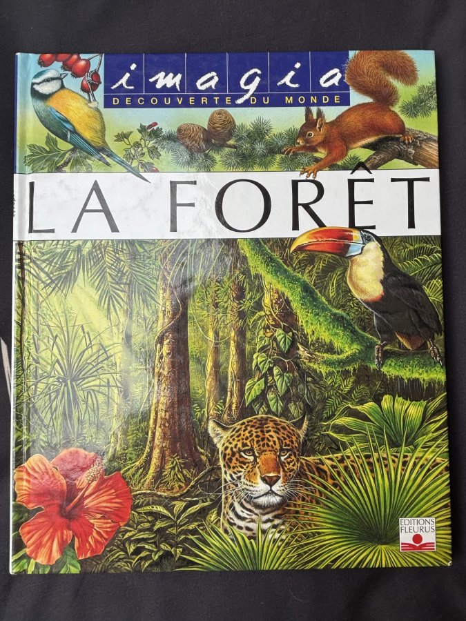 Illustration de Livre 