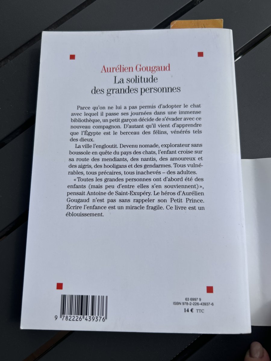 Illustration de Livre La solitude des grandes personnes 