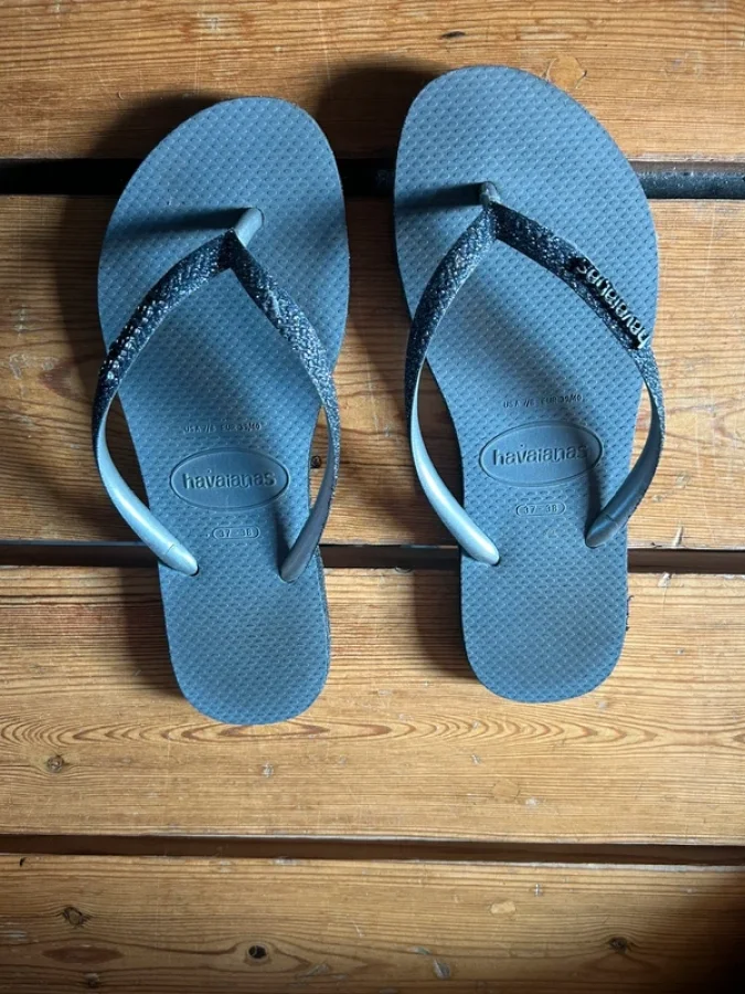 Illustration de Tongs grises Havaianas 