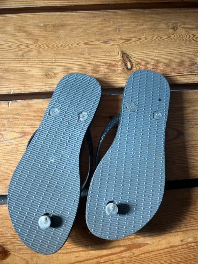 Illustration de Tongs grises Havaianas 