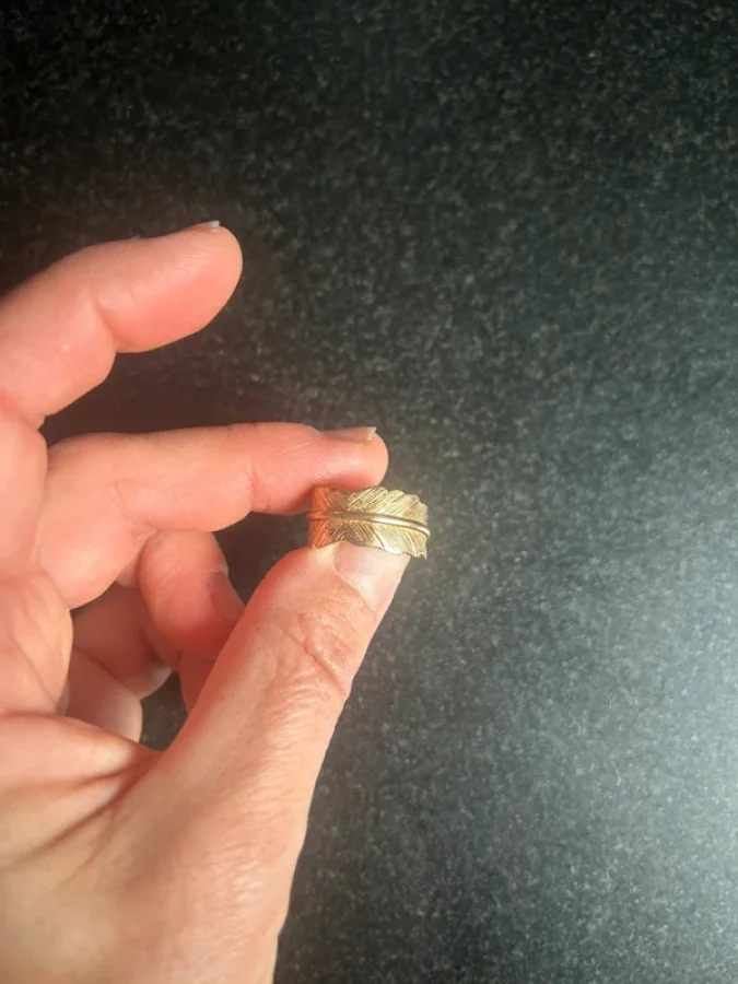 Illustration de Bague plume 