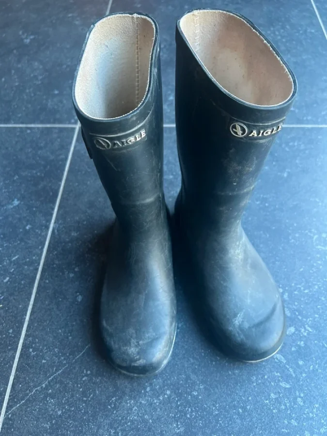 Illustration de Bottes aigle bleues 